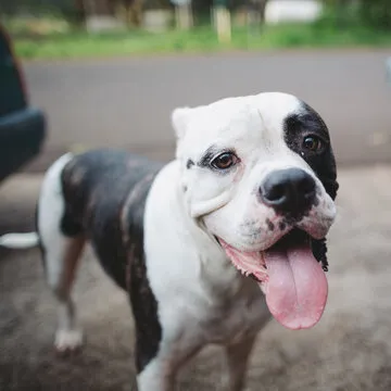 澳门六合彩信息技术有限公司